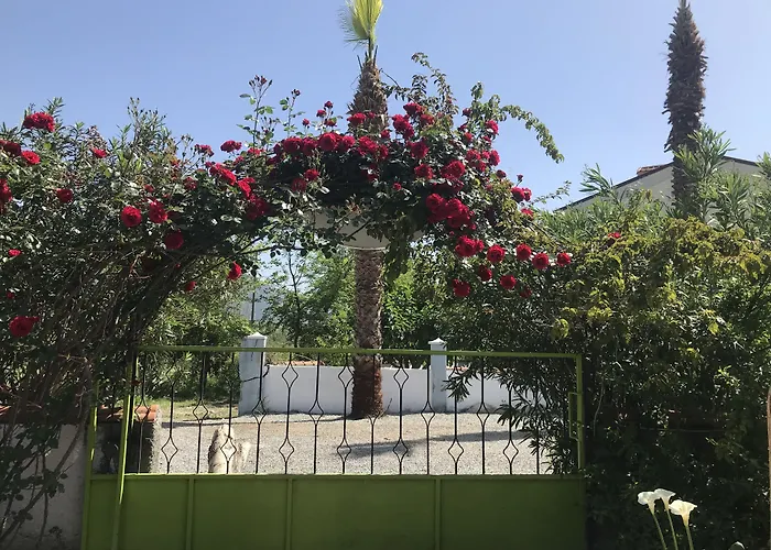 Yaprak Hotel Dalyan