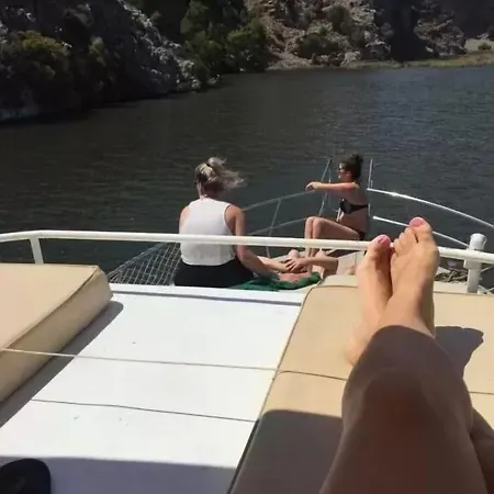 Yaprak 2*